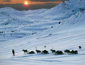 Stebuklingas poliarinis ratas
