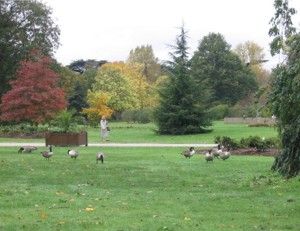 Kewo sodai – vienas iš didžiausių pasaulio parkų