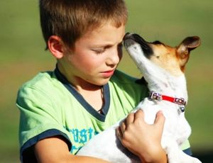 Ieškantiems mielo gyvūnėlio