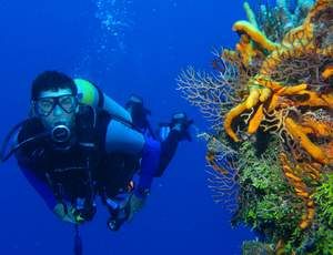 Ekstremalių pojūčių mėgėjai ilsisi po vandeniu