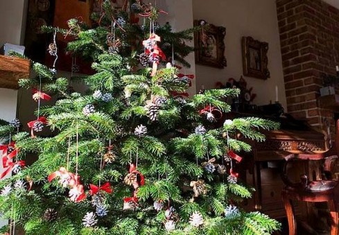 Išrinktos gražiausia ir originaliausia Anglija.lt skaitytojų eglutės