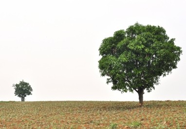 „Skirtumai“ [skaitytojos eilėraštis]