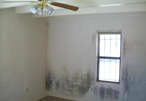 Problemos su nuomojamu kambariu – kur kreiptis? [skaitytojo laiškas]