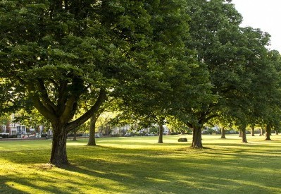Anglija, kokios Užkalnis nematė [foto]