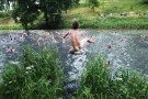 Laukinis festivalis jums primins, kas yra tikroji vasara! [FOTO]