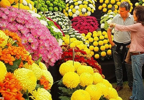 Viktorijos parkas pavirs Londono gėlių šventove