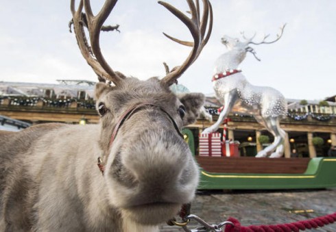 Aplankykite dar neatrastą kalėdinį Londono kampelį!