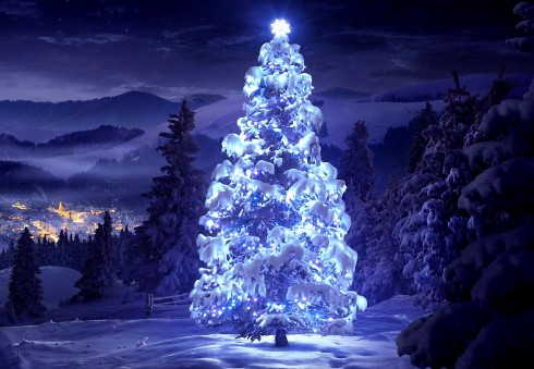 Išrink gražiausią 2015 metų kalėdinę eglutę!