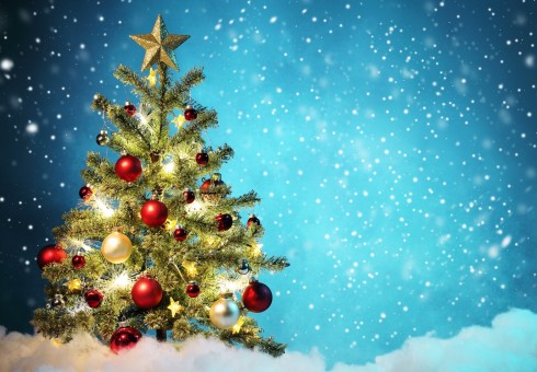 Išrinktos gražiausios 2015 metų kalėdinės eglutės [laimėtojams – prizai!]