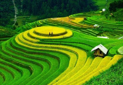 Apie tobulas atostogas ir nepamirštamus nuotykius sužinosite tik Londone!