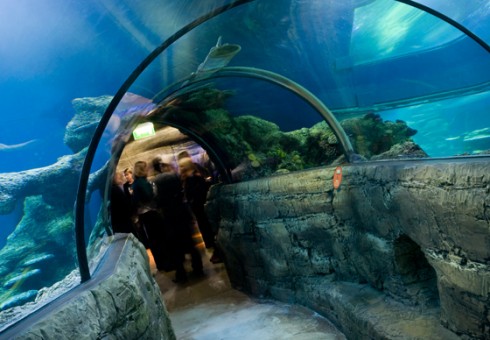 Londone – dar niekur neregėtas vandens pasaulis