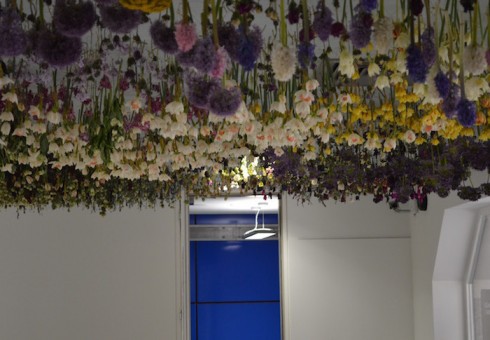 Londono kabantys sodai apvers pavasarį aukštyn kojom