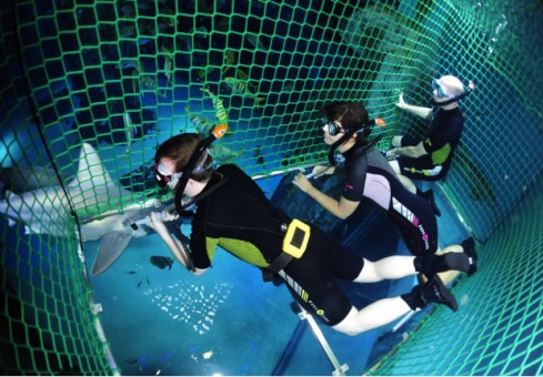 Pasiplaukiokite su rykliais... Londone!