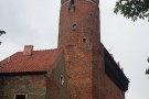 Lietuvė lėktuvą išmainė į dviratį ir iš JK parmynė į Lietuvą [FOTO]