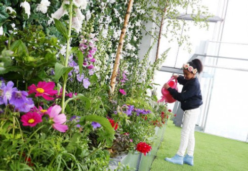 Aplankykite aukščiausiai Londone įsikūrusį sodą