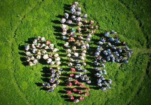 Anglijos lietuviams – skautų stovykla