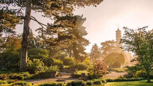 Gražiausią Angliją rudens metu atrasite Kew Gardene