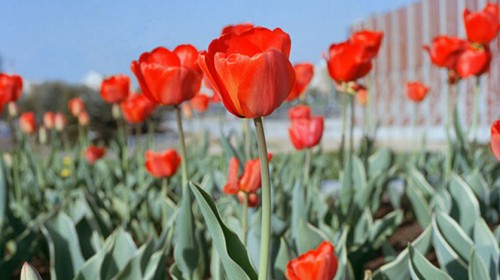 Anglijos lietuviai kviečiami į šiuolaikinės Lietuvos fotografijos pristatymą Londone