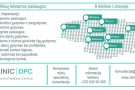 Odontologų paslaugos JK pasidarė nebeįkandamos? Geriausi specialistai jūsų laukia Lietuvoje!