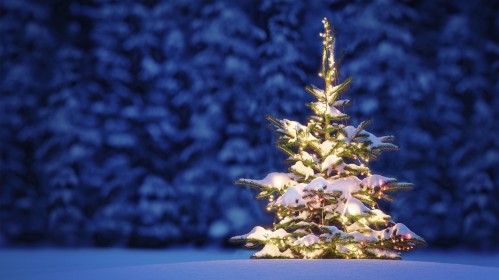 Kalėdinis konkursas: papuošk gražiausią eglutę ir laimėk puikius prizus!