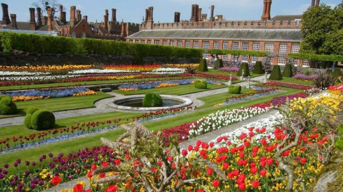 Hemptono rūmų gėlių šou 2017