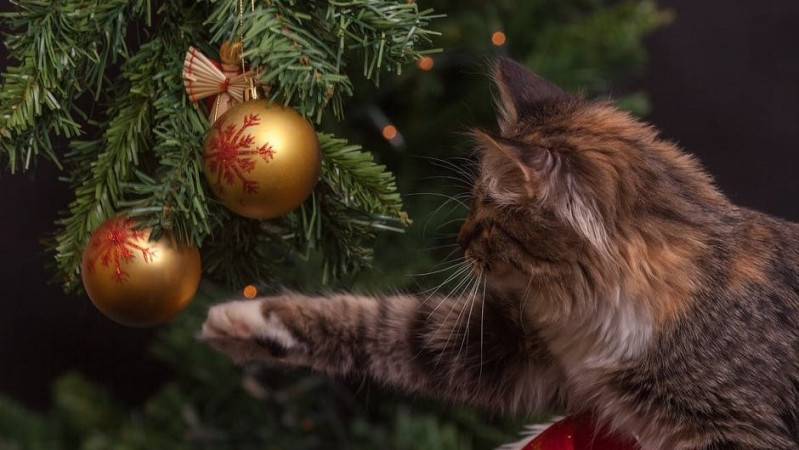 Kalėdinis konkursas JK lietuviams: už gražiausią eglutę – prizai!
