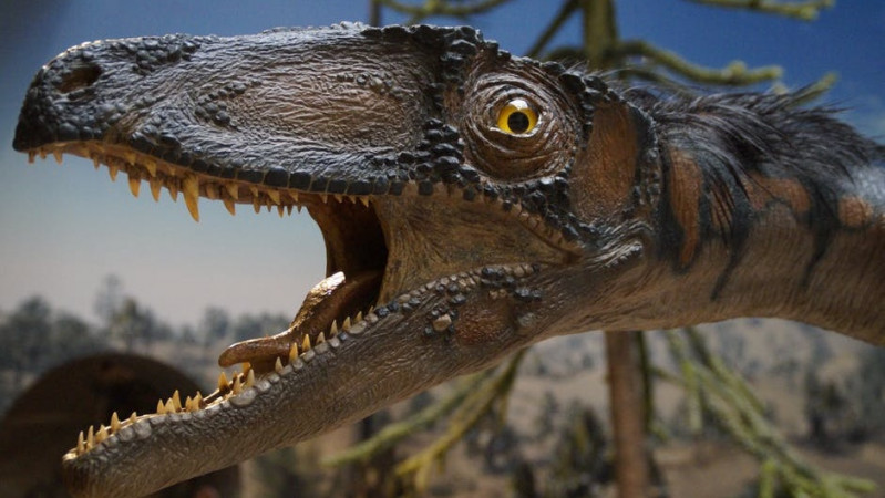 Filmų naktis muziejuje