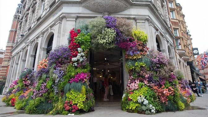 Nemokamas "Chelsea in Bloom" floristikos festivalis Londone