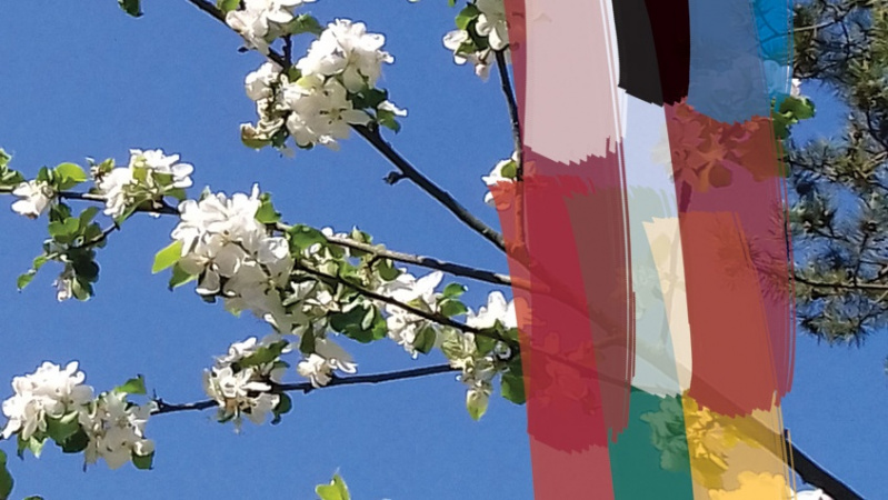 JK gyvenantys lietuviai ir kt. Baltijos šalių atstovai kviečiami pagerbti tremties aukas