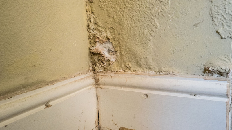 Naujasis įstatymas JK leis nuomininkams paduoti nuomotoją į teismą dėl šalčio ar pelėsio