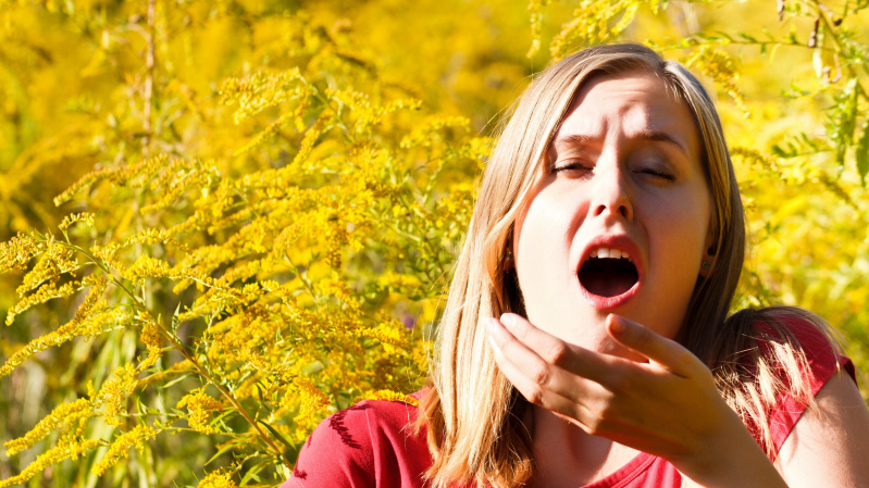 JK gyventojai perspėjami apie „žiedadulkių bombą“