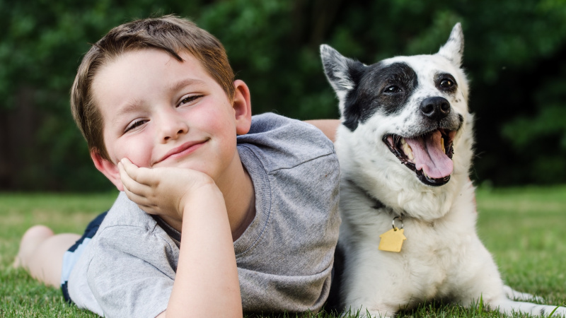 JK pasipiktinimą sukėlė laida apie „šunišką“ vaikų auklėjimą
