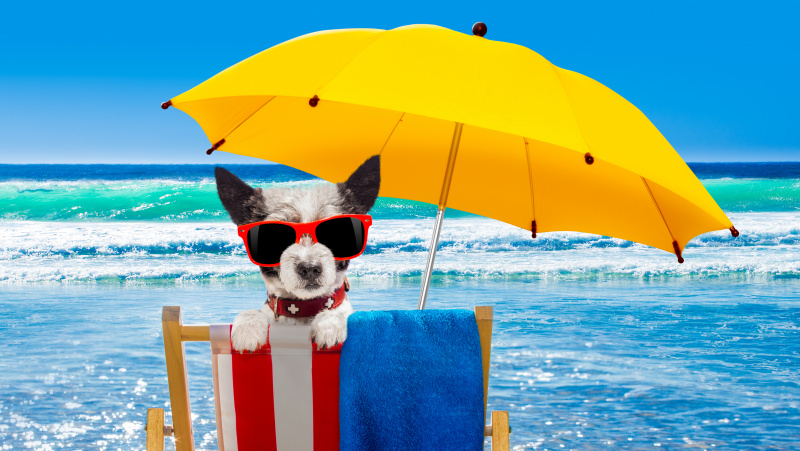 Ilgąjį savaitgalį JK laukiama karščio bangos