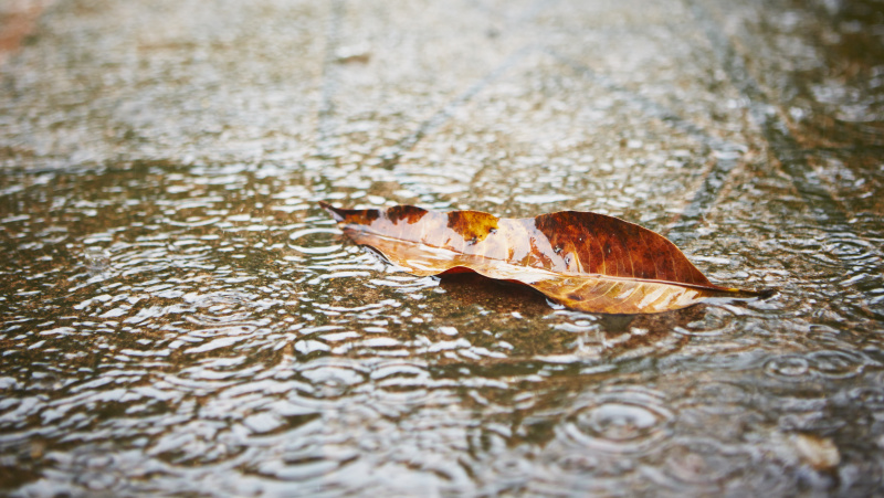 JK plaus lietus: per vos 30 valandų turėtų iškristi mėnesio norma