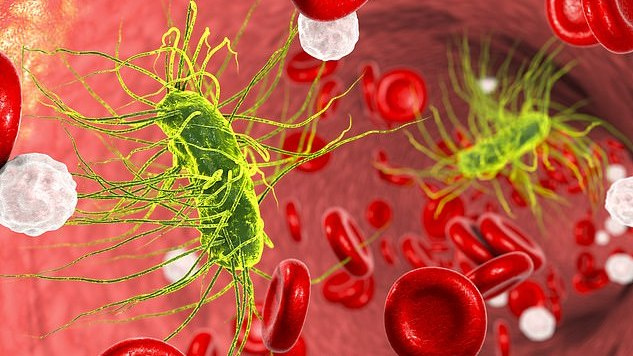 JK medikai fiksuoja vis daugiau antibiotikams atsparių infekcijų