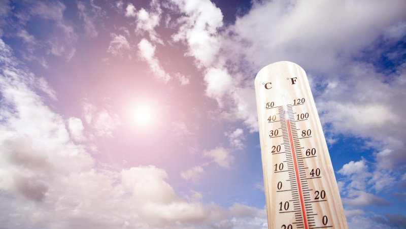 Per karščio bangas 2019 m. vasarą Anglijoje mirė „beveik 900 žmonių“