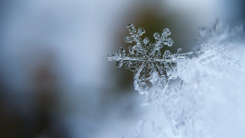 Savaitgalis JK bus šaltokas, temperatūra kris žemiau nulio