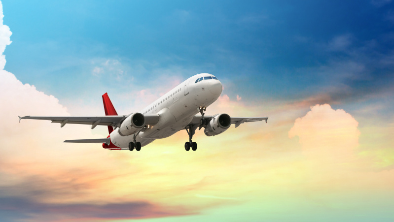 Specialiu reisu į JK iš Rumunijos bus atskraidinta apie 180 žmonių vaisių derliui rinkti