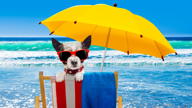 Nuo liepos 6 d. JK atvers kelius atostogoms Europos šalyse