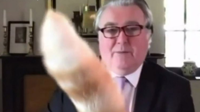 JK parlamentaro vaizdo konferenciją netikėtai pertraukė pukuotas dalyvis (video)