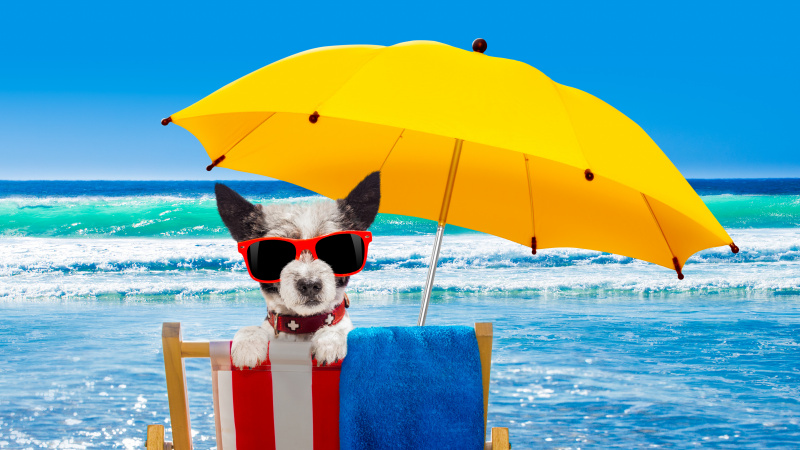 JK laukiama itin karšto penktadienio, bus karščiau nei Ibisoje