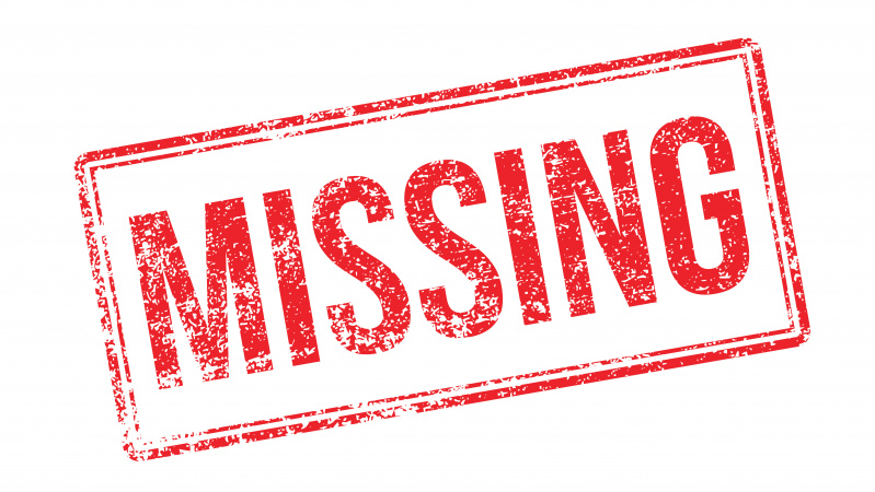 JK policija prašo visuomenės pagalbos ieškant lietuviško kraujo turinčio jauno vyro