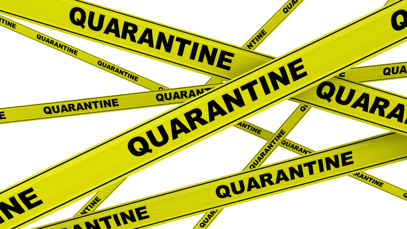 Turkija, Lenkija ir trys Karibų salos įtrauktos į JK karantino šalių sąrašą