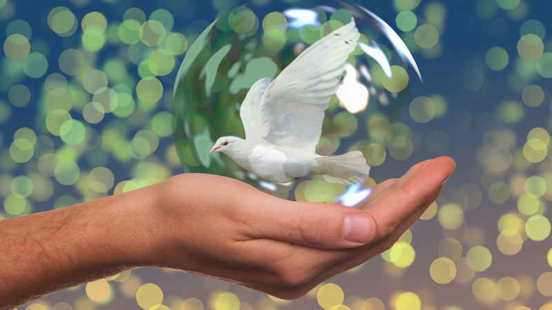 Šių metų Nobelio taikos premiją gavo Pasaulio maisto programa