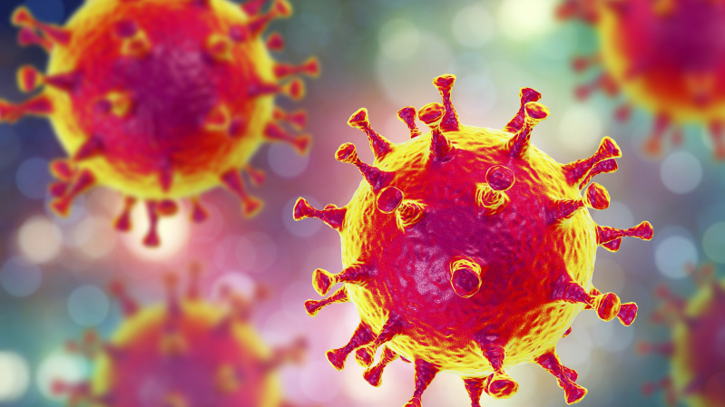 Durhamo tarybos narė: koronavirusas išgalvotas, gyvensime kaip Šiaurės Korėjoje