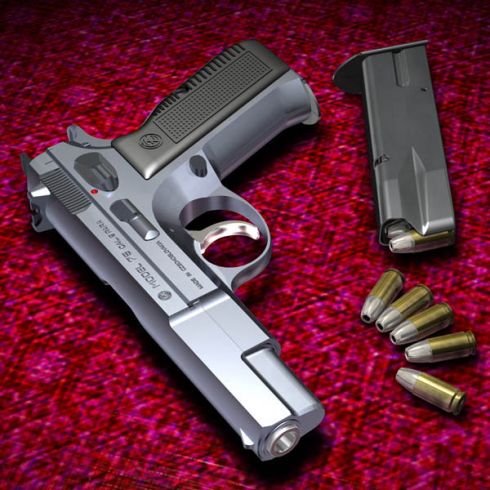 Neblaivų vairuotoją sustabdė tik pareigūno paleistos kulkos