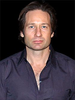Aktorius Duchovny kovoja su įpročiu ieškoti internete pornografijos