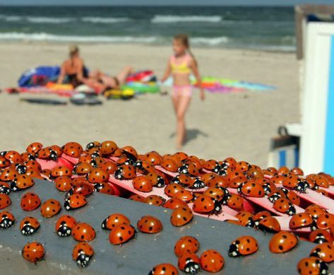 Šiemet Baltija pasiglemžė 1 gyvybę, upės ir ežerai – per 100