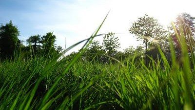 Iškyla Hyde Park'e Baltijos Keliui paminėti