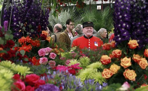 Gėlių paroda prie Karališkosios Chelsea ligoninės